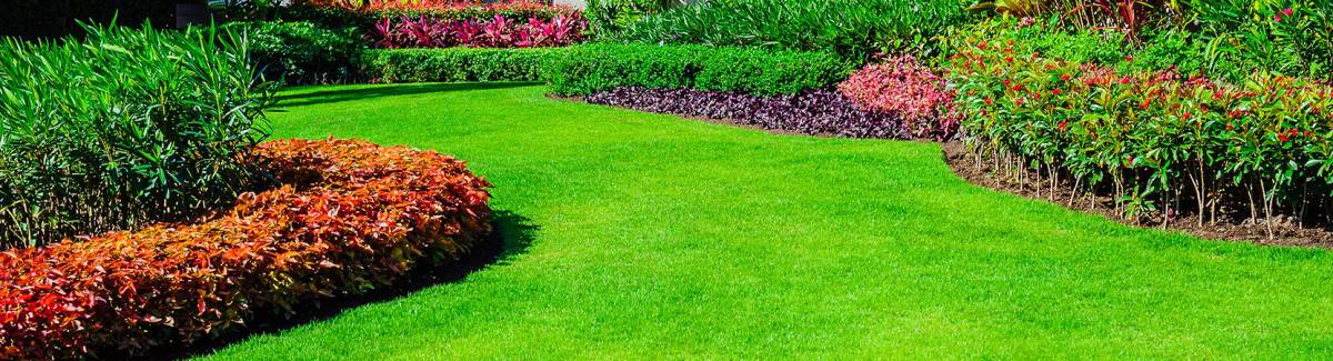 Location Services 1 Location Services