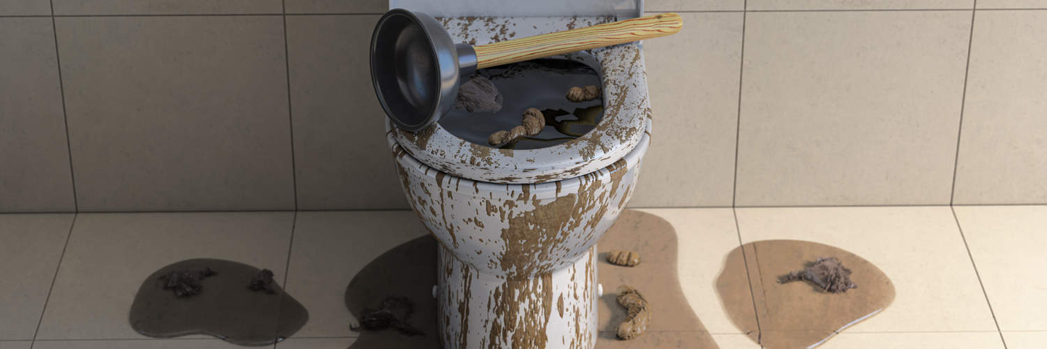 Toilet Clog DuPage County 1 Toilet Clog DuPage County