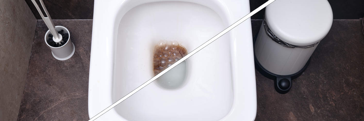 Unclog Toilet DuPage County 1 Unclog Toilet DuPage County